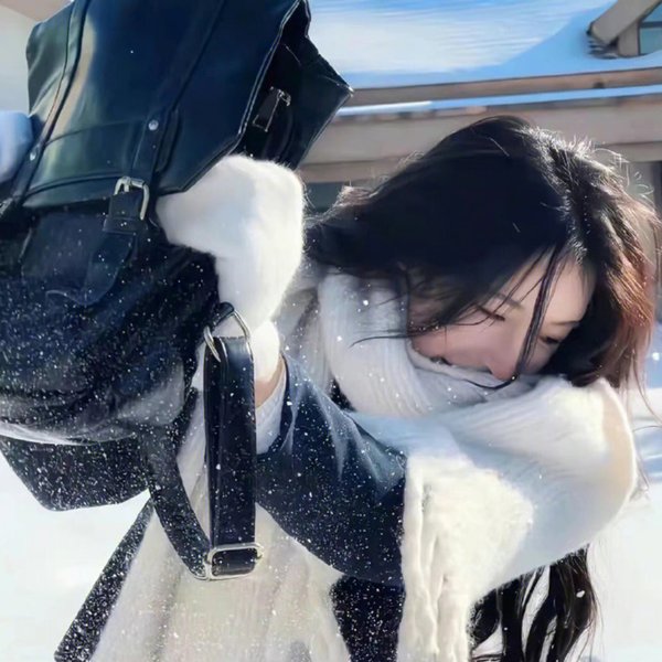 野狗们